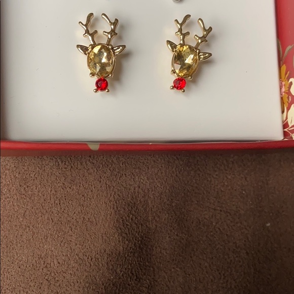 BRAND NEW IN BOX Lane Bryant Earrings - Picture 7 of 8
